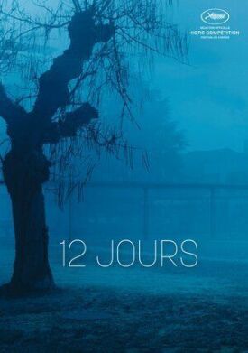 12 дней (2017)