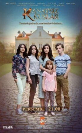 Птицы без крыльев (Бескрылые Птицы) (2017)