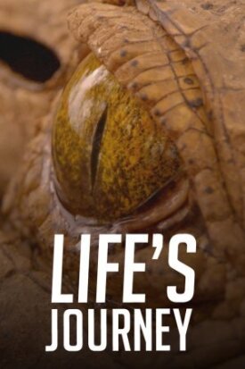 Life's Journey (2017)