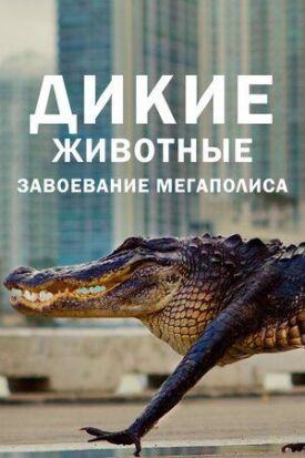 Дикие животные: Завоевание мегаполиса (2018)