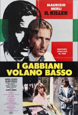 Чайки летают низко (1978)