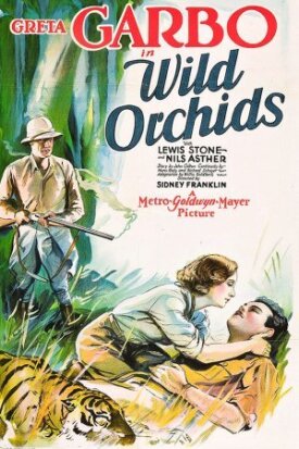 Дикие орхидеи (1929)