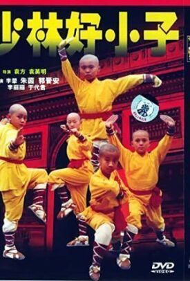 Посланники Шаолиня (1995)