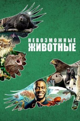 Невозможные животные (2021)