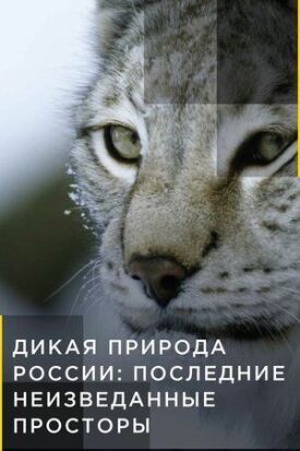 Дикая природа России: Последние неизведанные просторы (2018)