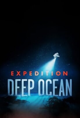 На дне океана (2021)