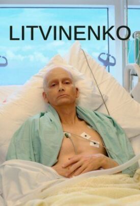 Литвиненко (2022)
