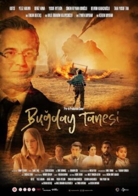 Bugday Tanesi (2022)