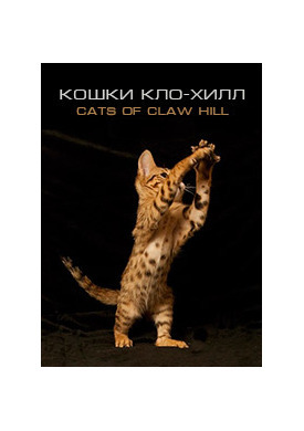 Кошки Кло-Хилл (2008)