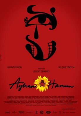 Госпожа Айхан (2014)