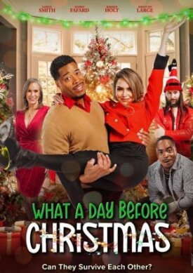 What a day before Christmas (2024)
