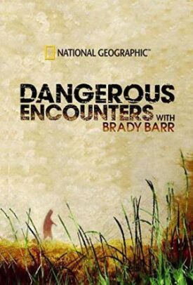 National Geographic. Опасные встречи (2005)