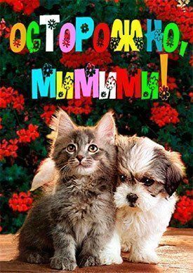Симпатичные котята и щенки (2011)