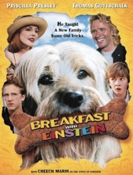 Завтрак с Эйнштейном (1998)