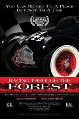 Гонки среди деревьев (2016)